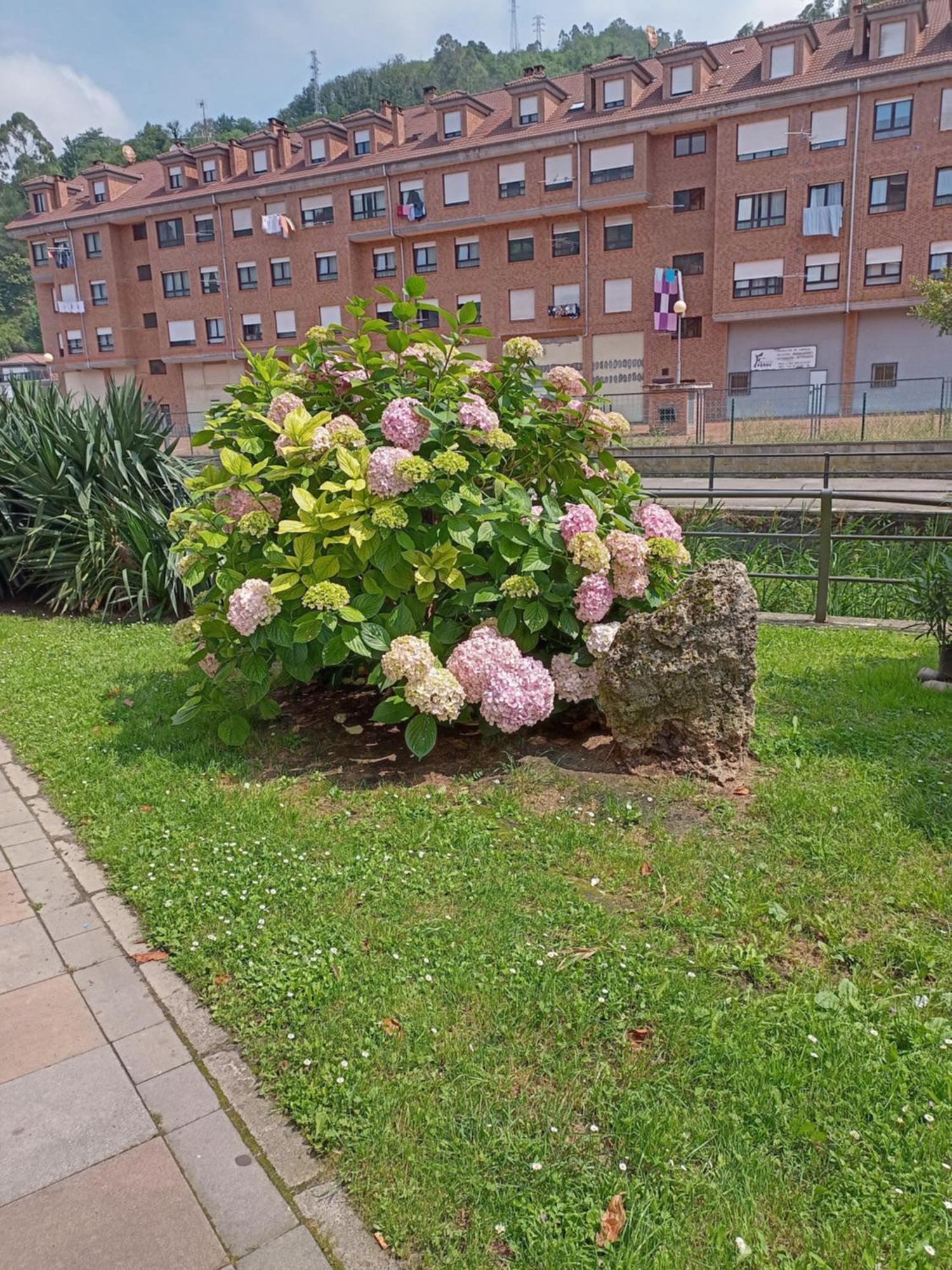 ミエレスEl Refugio De Noaアパートメント エクステリア 写真